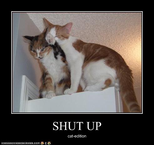 funny-pictures-cat-tells-friend-to-shut-up.jpg