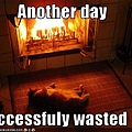 funny-pictures-cat-wastes-day.jpg