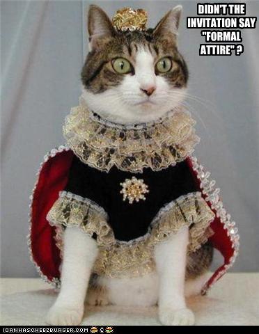 funny-pictures-cat-wears-formal-attire.jpg