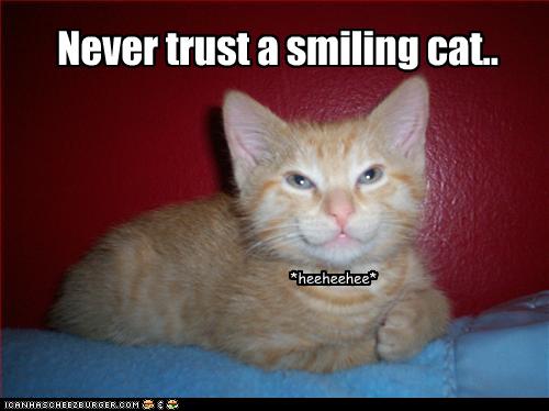 funny-pictures-never-trust-a-smiling-cat.jpg