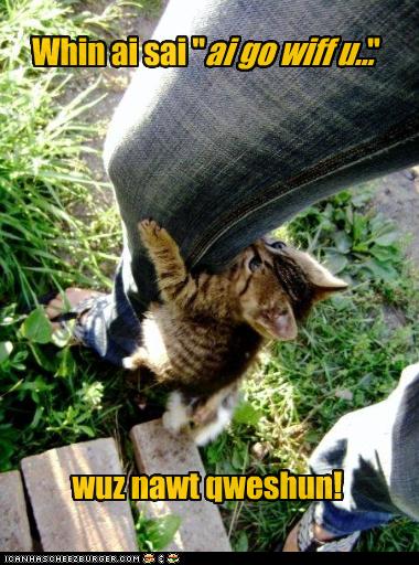 funny-pictures-kitten-will-go-with-you.jpg