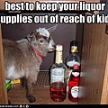 funny-pictures-kid-reaches-alcohol.jpg