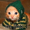 funny-pictures-kitten-is-link9.jpg