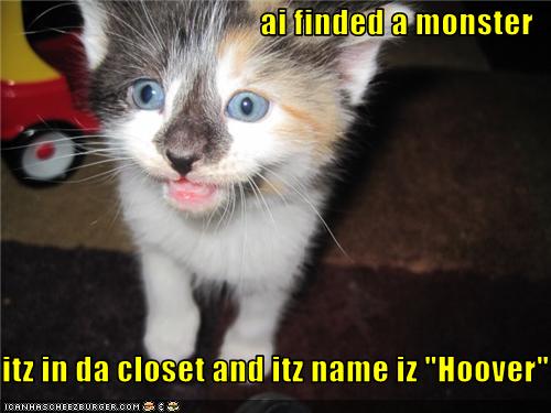 funny-pictures-kitten-found-a-monster.jpg