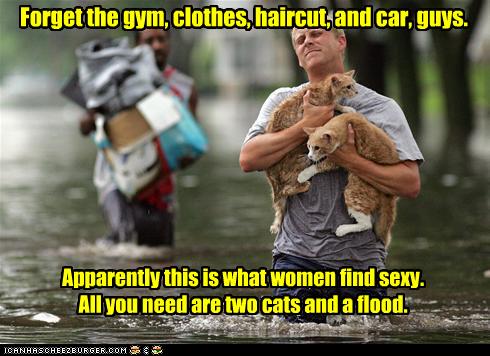 funny-pictures-guy-rescues-cats.jpg