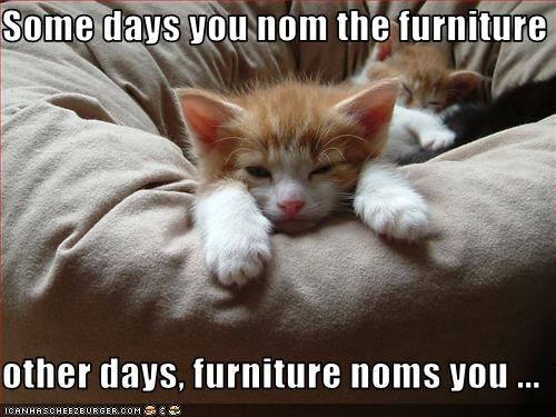 funny-pictures-kitten-is-eaten-by-furniture.jpg