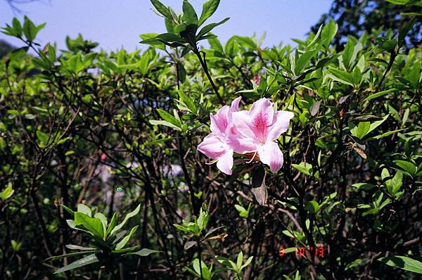 新北瑞芳，九份。