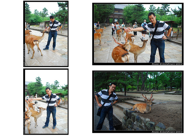 Nomar vs 鹿.jpg Nomar vs 鹿.jpg