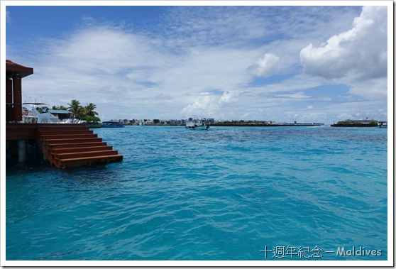 DSC00503 DSC00503