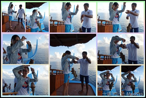 fish01 fish01