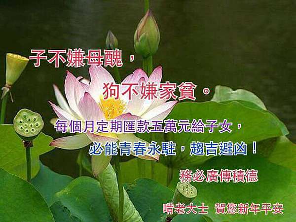 惡搞長輩圖 廢到笑xddd Keep Calm And Carry On 痞客邦