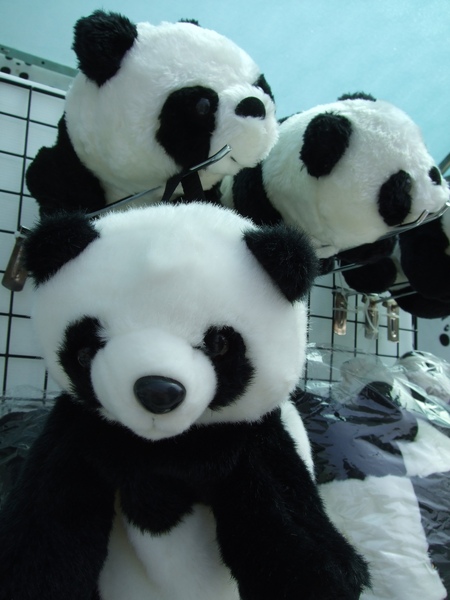 DSCF7129.JPG DSCF7129.JPG
