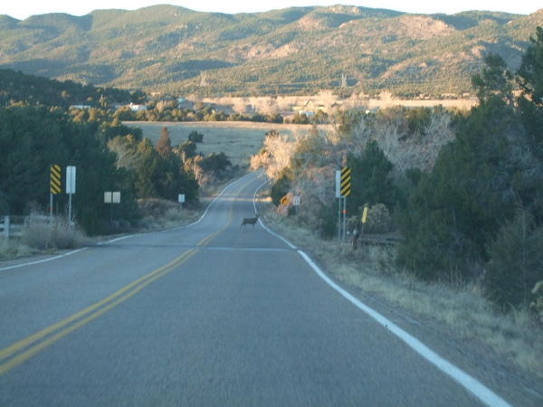 DSCF9570.JPG DSCF9570.JPG