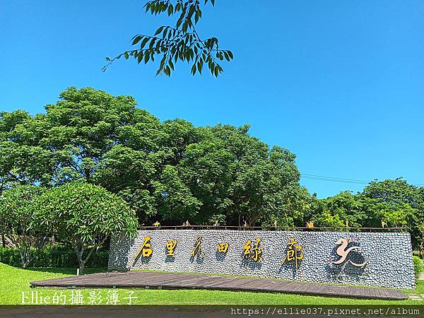 【遊。台中后里】2025初夏遊后里環保公園~~向日葵花田｜睡