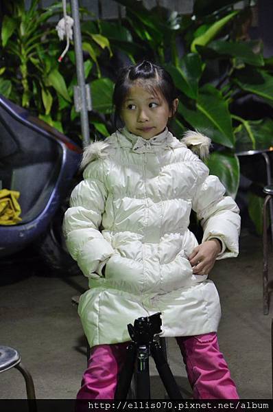 _DSC0263 _DSC0263