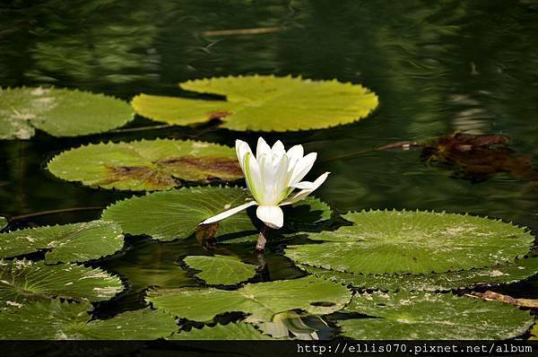 _DSC0020 _DSC0020