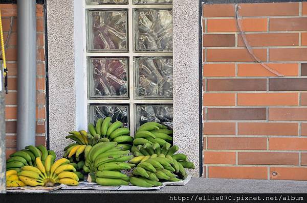 _DSC0353 _DSC0353