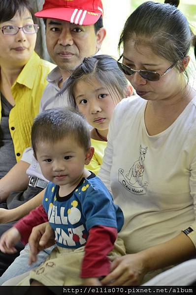 _DSC0393 _DSC0393