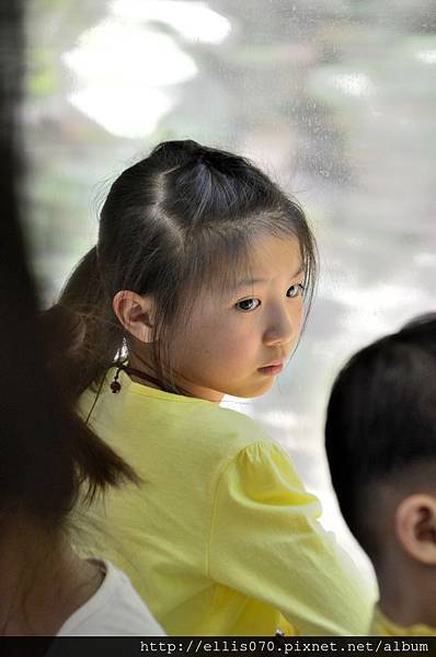 _DSC0395 _DSC0395