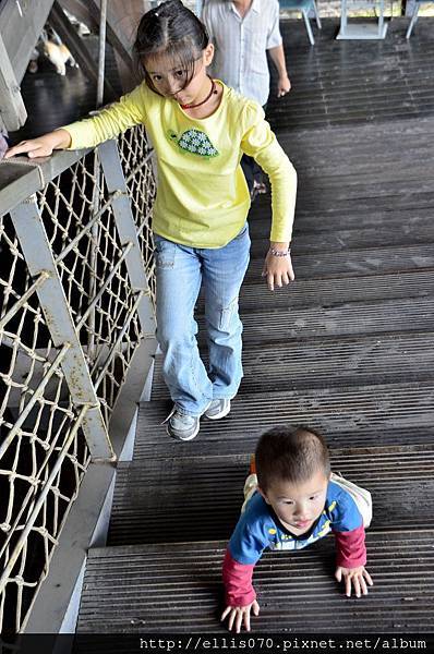 _DSC0493 _DSC0493