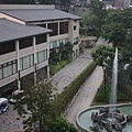 IMG_8811.JPG