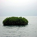 漂浮的小島~當地原住民用來抓魚蝦用的~