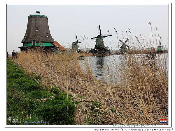 IMG_1406 Zaanse Schans風車村.jpg