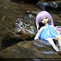 DSC_0115.JPG