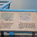 (手機)DSC_0708.jpg