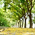 DSC_0464.jpg