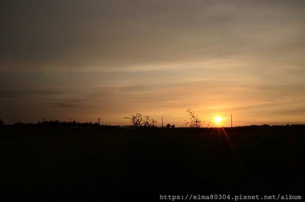 DSC_0522.jpg