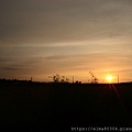 DSC_0522.jpg