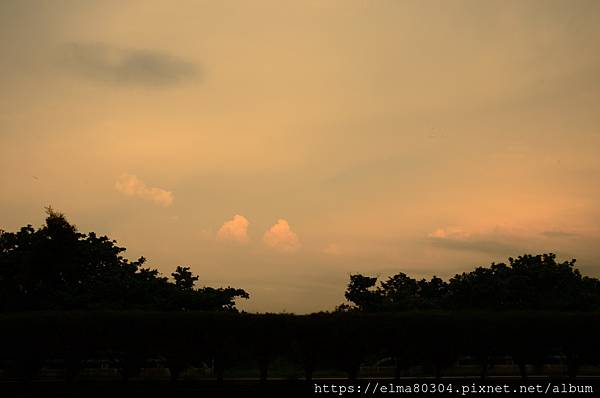 DSC_0530.jpg