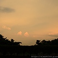DSC_0530.jpg