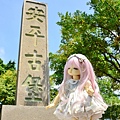 DSC_0575.jpg