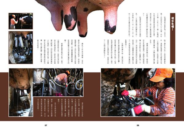 畜牧場雜誌編排-3.jpg