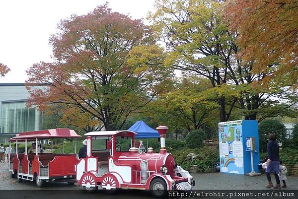 15 11 大阪長居植物園 楓葉銀杏 E S Blog 未經本人同意 請勿轉載引用個人創作的文章及照片 痞客邦 15 11 大阪長居植物園 楓葉銀杏 E S Blog 未經本人同意 請勿轉載引用個人創作的文章及照片 痞客邦