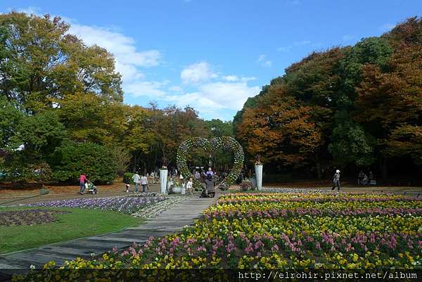15 11 大阪長居植物園 楓葉銀杏 E S Blog 未經本人同意 請勿轉載引用個人創作的文章及照片 痞客邦 15 11 大阪長居植物園 楓葉銀杏 E S Blog 未經本人同意 請勿轉載引用個人創作的文章及照片 痞客邦