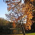 Wilhelminapark