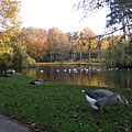 Wilhelminapark