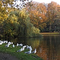 Wilhelminapark