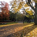 Wilhelminapark