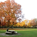 Julianapark