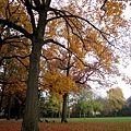 Julianapark