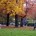 Julianapark