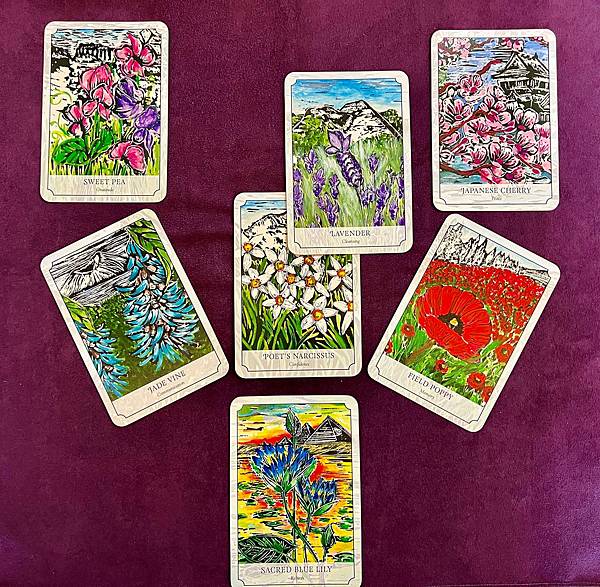 個案服務:如何照顧自己的生活 個案服務:如何照顧自己的生活