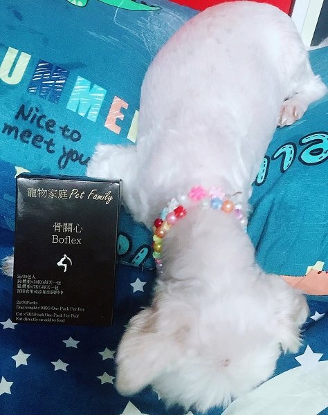 ♥寵物家庭Pet Family《骨關心》關節＋心臟保健♥
