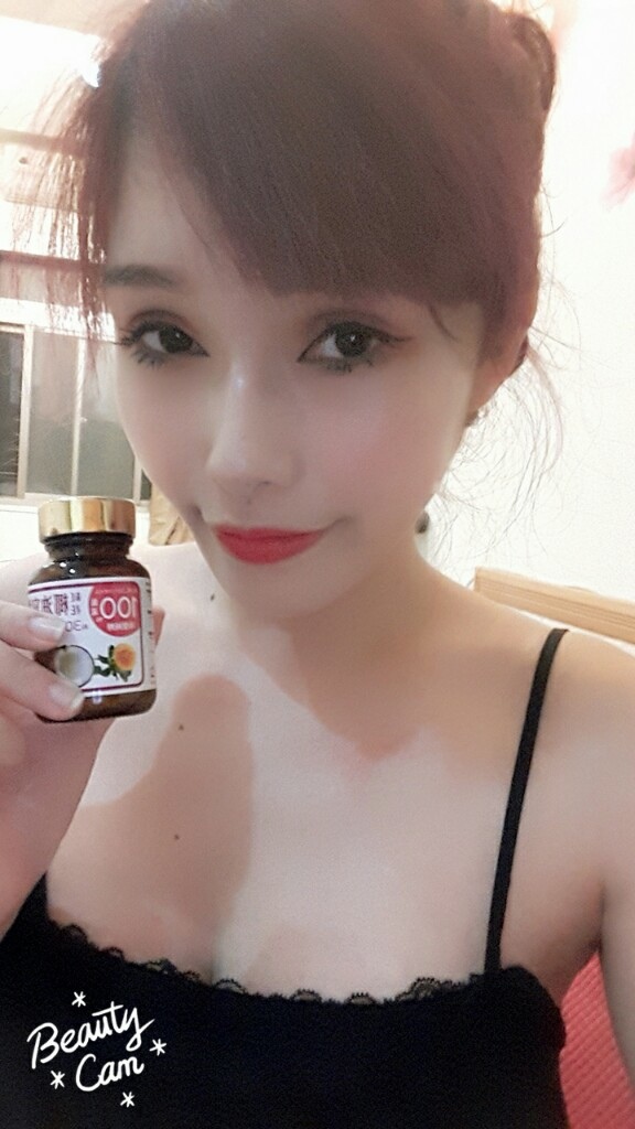 試用