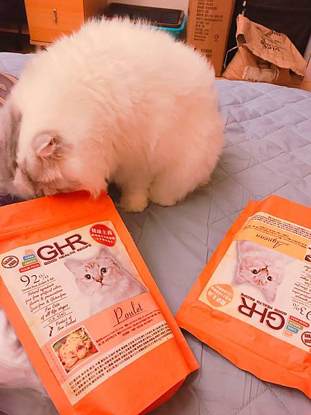 女人知己,女人知己試用大隊,試用大隊,GHR健康主義無穀貓糧,GHR健康主義,無穀貓糧,貓糧,放牧羊口味,鮮嫩雞肉口味