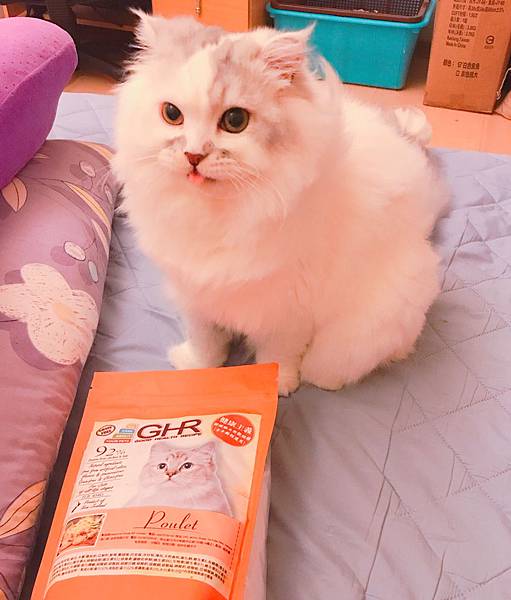 女人知己,女人知己試用大隊,試用大隊,GHR健康主義無穀貓糧,GHR健康主義,無穀貓糧,貓糧,放牧羊口味,鮮嫩雞肉口味